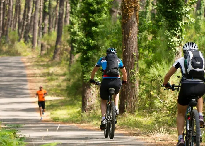 Maisonnette Mitoyenne 2 étoiles Paisible Piscine Océan Vélo Marche Idéal Pour Tous Сasa de vacaciones Lacanau